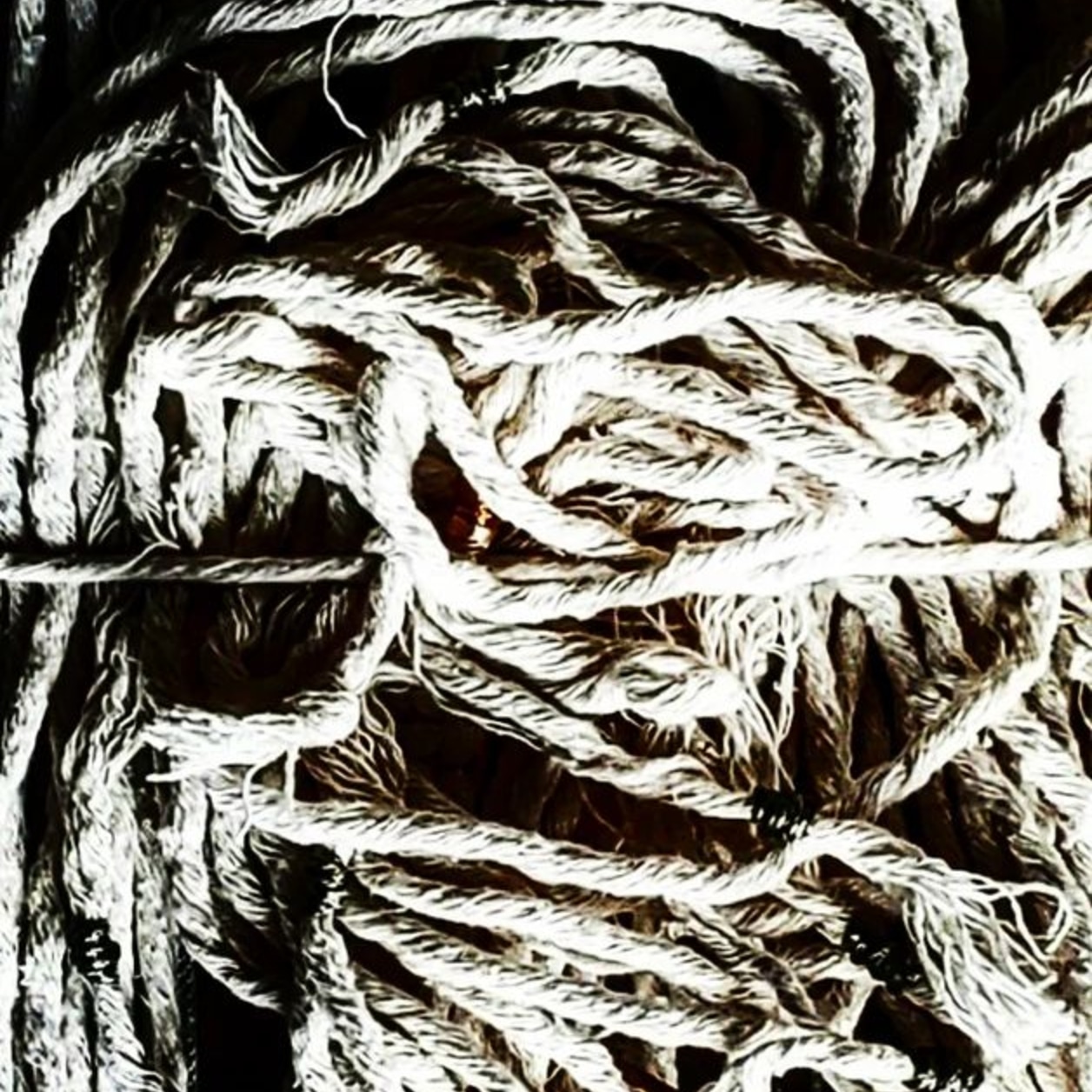 Invierno III — 2024 — (Detalhe da rabiola) — Fabio Crisanti